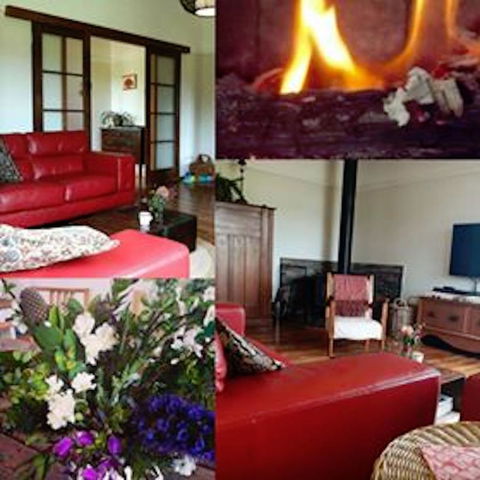 Eden Orchard & Farmstay - e-Seniors 11