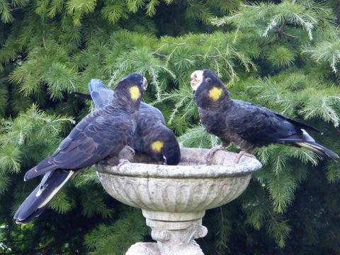 Tamar River Retreat - e-Seniors 37