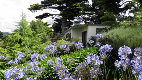 Tamar River Retreat - e-Seniors 28