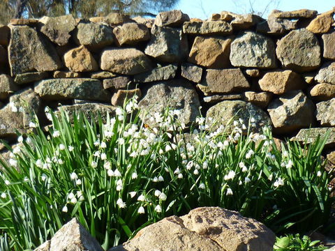 Wagners Cottages - e-Seniors 11