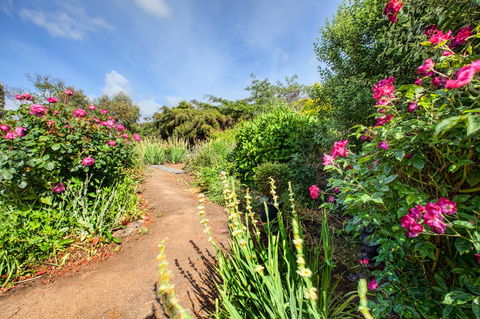 Wagners Cottages - e-Seniors 30