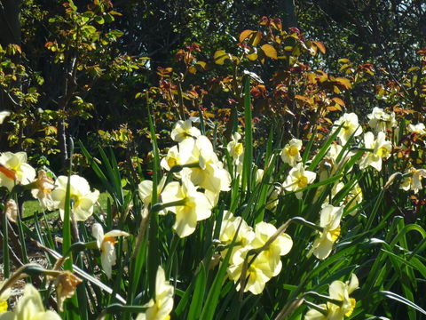 Wagners Cottages - e-Seniors 13