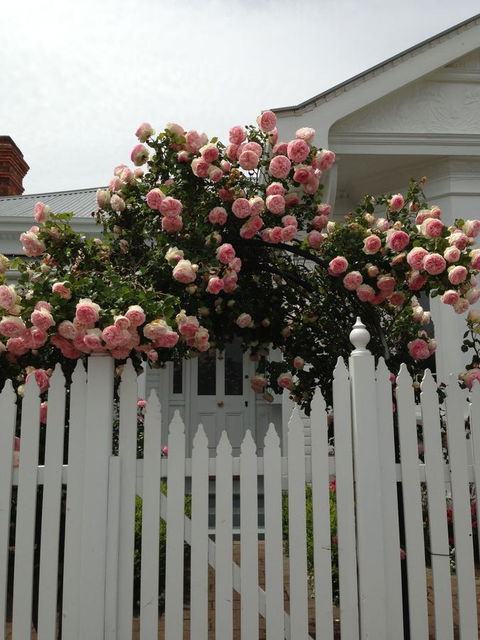 White Dove Cottage Bed And Breakfast - e-Seniors 10