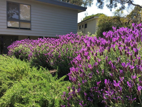 Kookas Retreat - e-Seniors 14