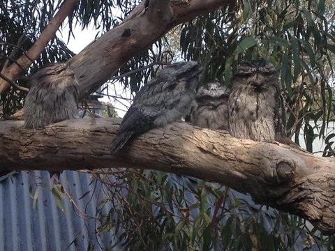 Kookas Retreat - e-Seniors 15