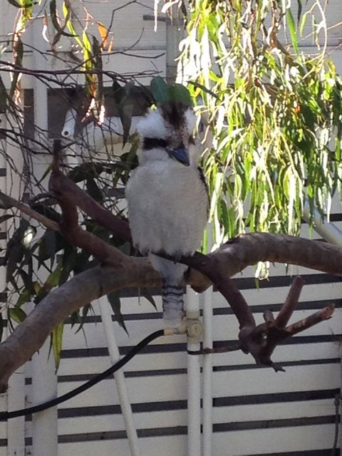 Kookas Retreat - e-Seniors 16