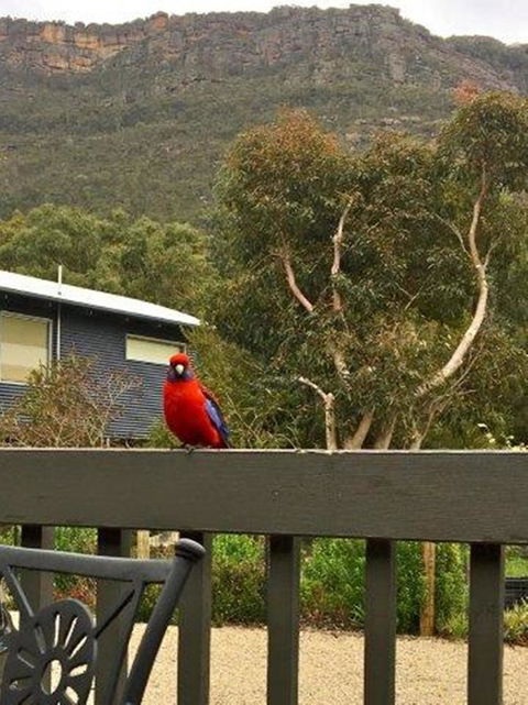 Kangurra Holiday House - e-Seniors 15