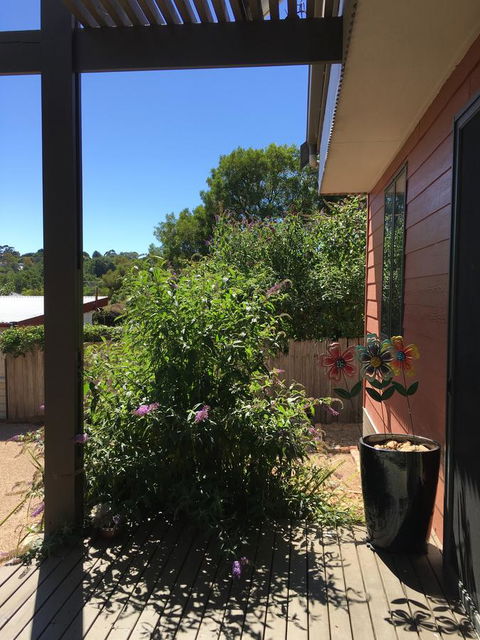 Daydream Cottage - e-Seniors 10