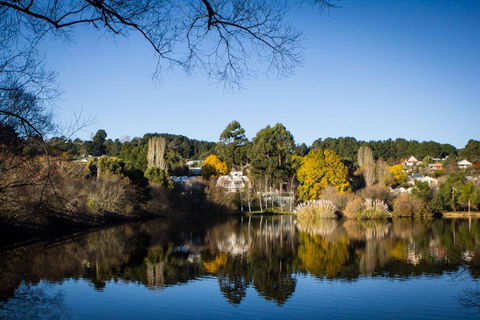 Chestnut Daylesford - e-Seniors 14