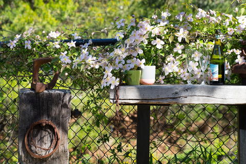 Cottage @ 4A - e-Seniors 4