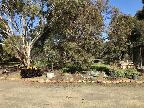 Beeâ€™s Place - 3 Bedroom Home On 10 Acres Of Land With Distant Ocean Views - e-Seniors 15