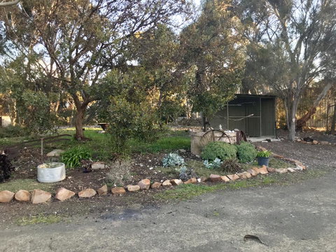 Beeâ€™s Place - 3 Bedroom Home On 10 Acres Of Land With Distant Ocean Views - e-Seniors 17