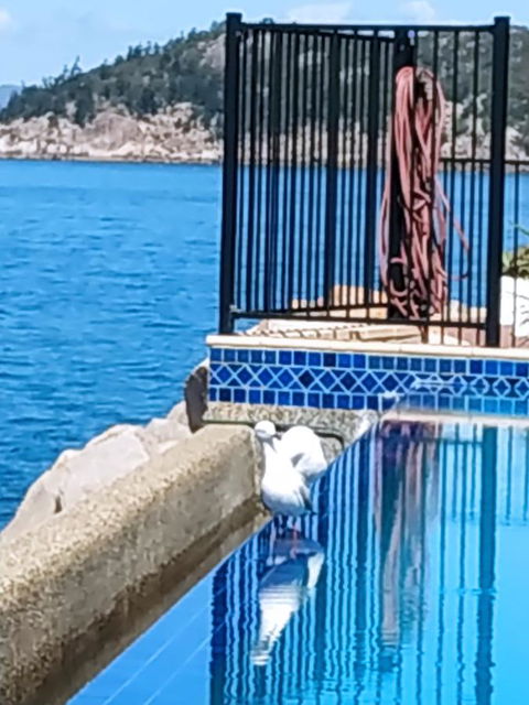 Best At Bright Point Absolute Waterfront 4 Bedroom Apartment - e-Seniors 8