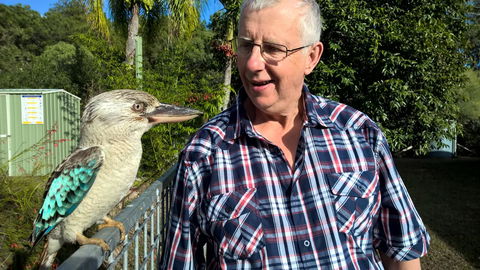 Magnetic Island Bed And Breakfast - e-Seniors 33