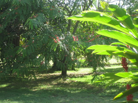 Magnetic Island Bed And Breakfast - e-Seniors 36