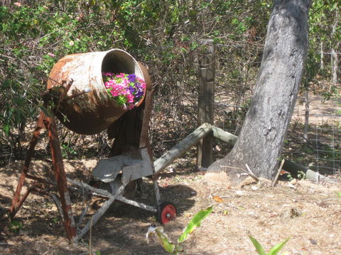 Magnetic Island Bed And Breakfast - e-Seniors 32