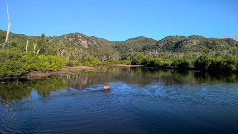 Magnetic Island Bed And Breakfast - e-Seniors 8