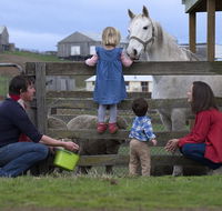 28 gates Luxury Farmstay and Fishery - e-Seniors