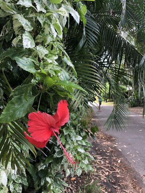 Absolute Beach Frontage, Family Friendly, Home Away From Home - e-Seniors 1