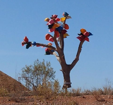 ANTE STREET DUGOUT - e-Seniors 1