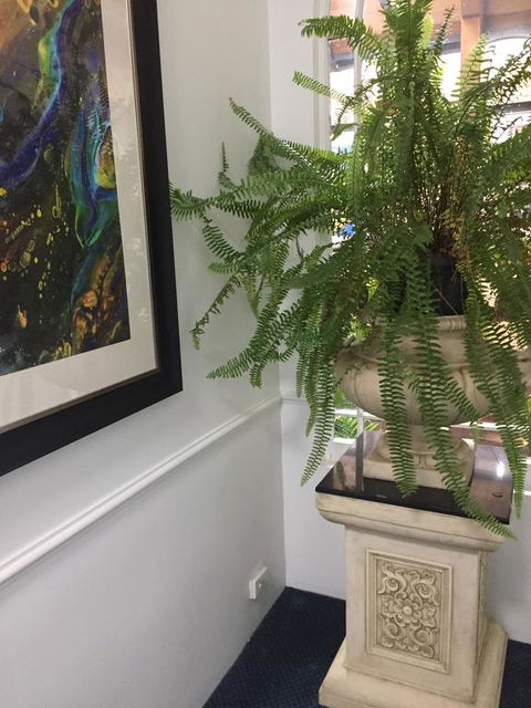 Art Hotel On York - e-Seniors 2