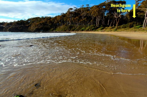 Beachgum - e-Seniors 2