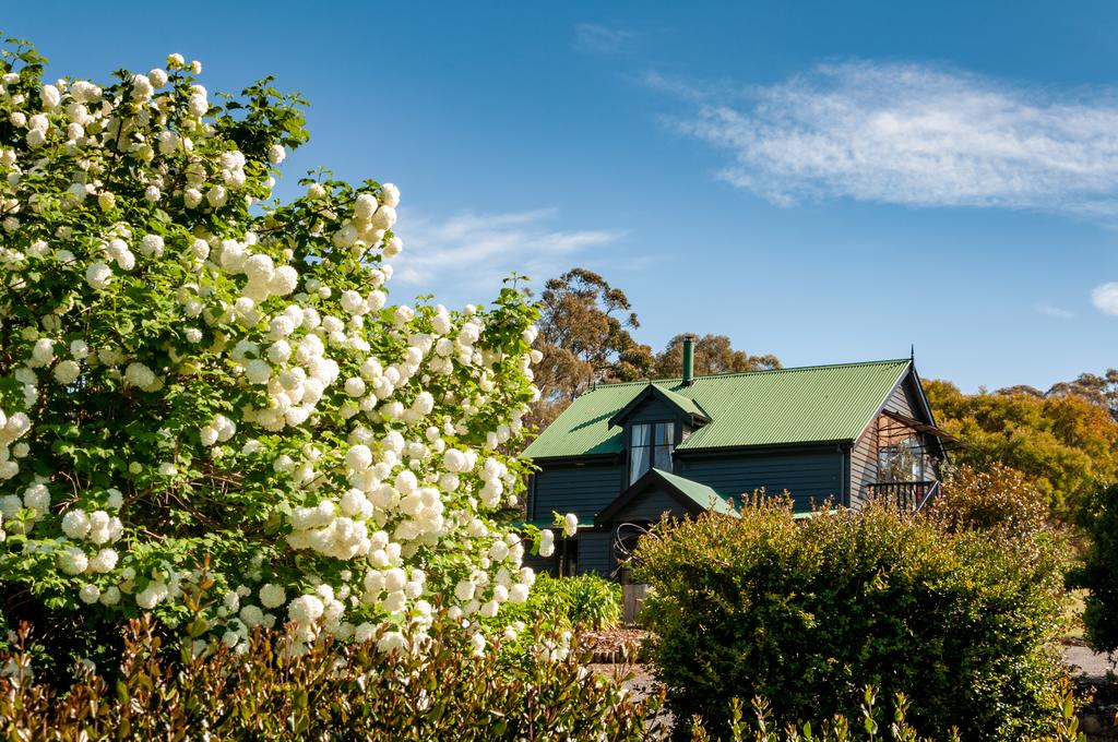 Glendevie TAS e-Seniors