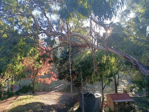 Bells Estate Great Ocean Road Cottages - e-Seniors 3