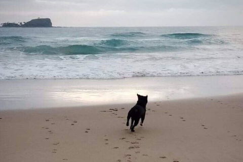 Breakers At Mudjimba Beach - e-Seniors 0