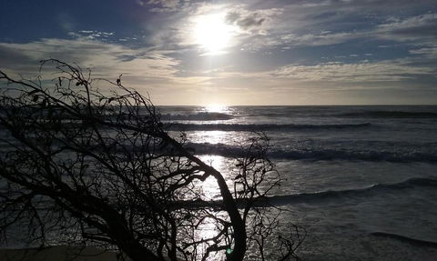BIG4 Nambucca Beach Holiday Park - e-Seniors 3