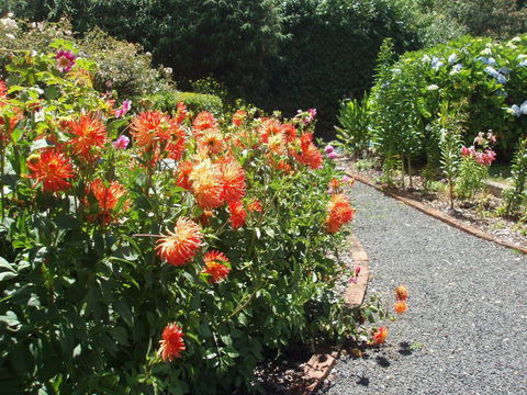 Boat Harbour Garden Cottages - e-Seniors 0