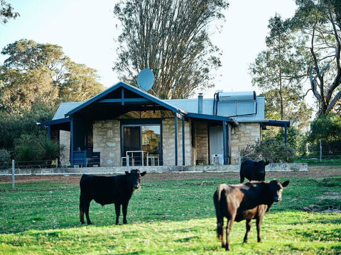 Burnside Organic Farm - e-Seniors 2