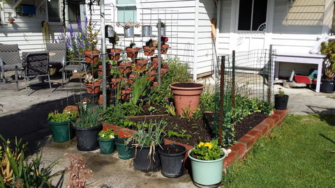 Carisbrook Cottage Queenscliff - e-Seniors 1