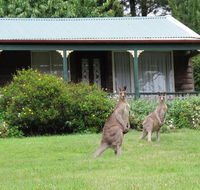 Cedar Lodge Cabins - e-Seniors