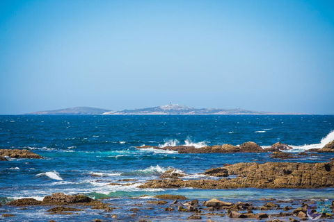 Cherrybush @ Mystery Bay - e-Seniors 3