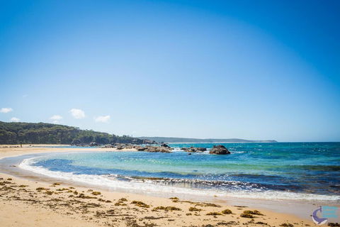 Cherrybush @ Mystery Bay - e-Seniors 1