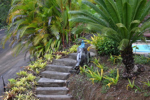 Cloud 9 - e-Seniors 1