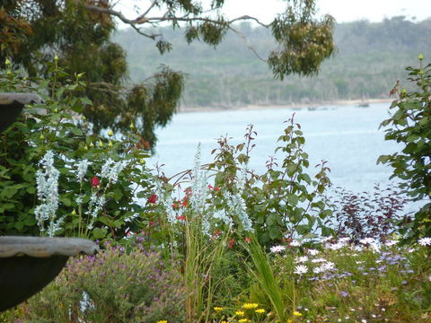 Clovelly Cottage - e-Seniors 3
