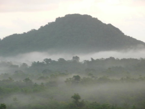 Coral Sea Views - e-Seniors 1