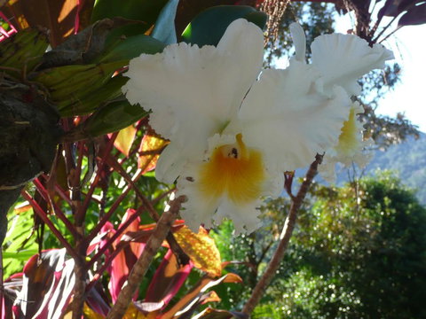 Coral Sea Views - e-Seniors 2