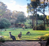 Countryside Retreat Spa Cottage Hepburn - Daylesford - e-Seniors