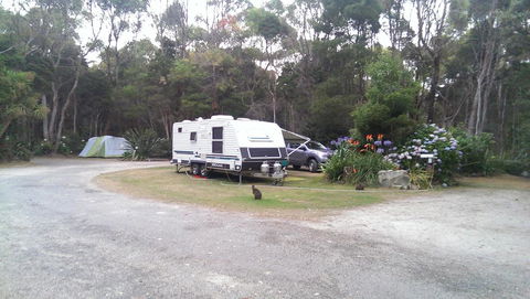 Crayfish Creek Van & Cabin Park - e-Seniors 0
