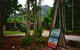 Daintree Rainforest Beach House - thumb 1