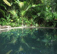 Daintree Rainforest Retreat Motel - e-Seniors