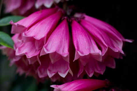 Daintree Village Hideaway - e-Seniors 3