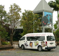 Daintree Wild Bed  Breakfast - e-Seniors