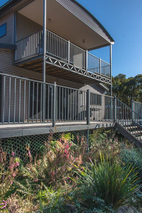 Echidna On Bruny - e-Seniors 3