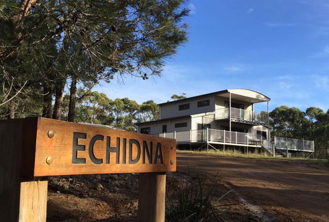 Echidna On Bruny - e-Seniors 0