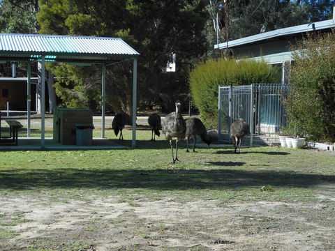 Grampians View Cottages And Units - e-Seniors 1