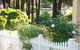 Hillside Cottage Berrima - thumb 3